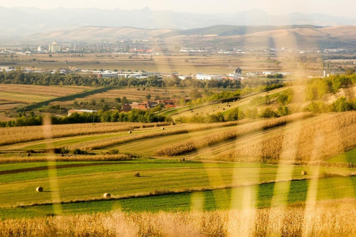 Pensiunea Casa Din VII Seusa Dış mekan fotoğraf