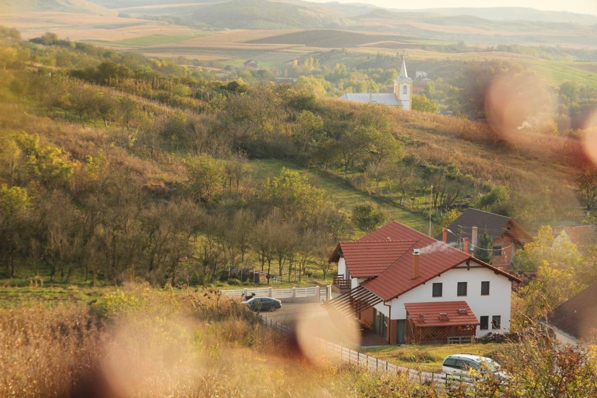 Pensiunea Casa Din VII Seusa Dış mekan fotoğraf