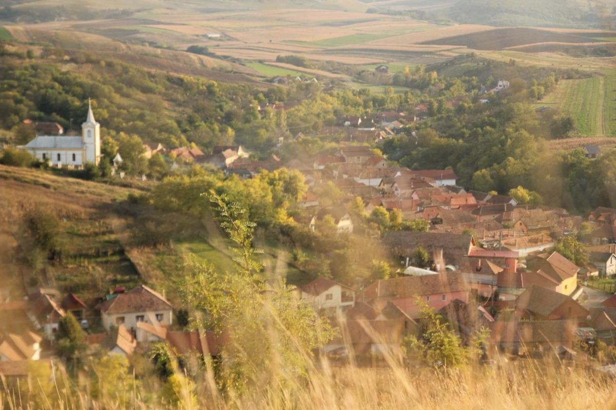 Pensiunea Casa Din VII Seusa Dış mekan fotoğraf