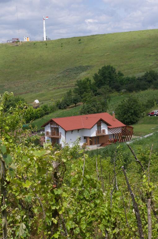 Pensiunea Casa Din VII Seusa Dış mekan fotoğraf