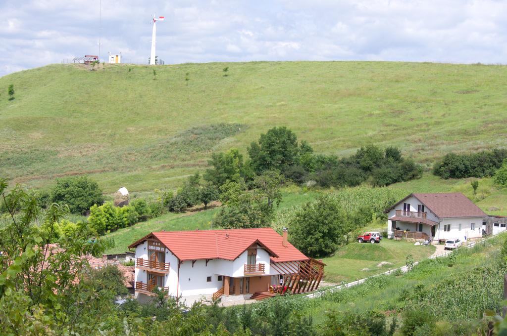 Pensiunea Casa Din VII Seusa Dış mekan fotoğraf