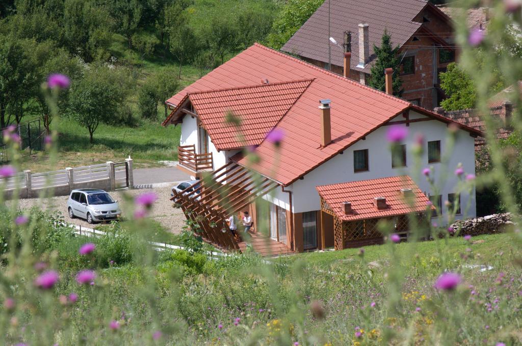 Pensiunea Casa Din VII Seusa Dış mekan fotoğraf