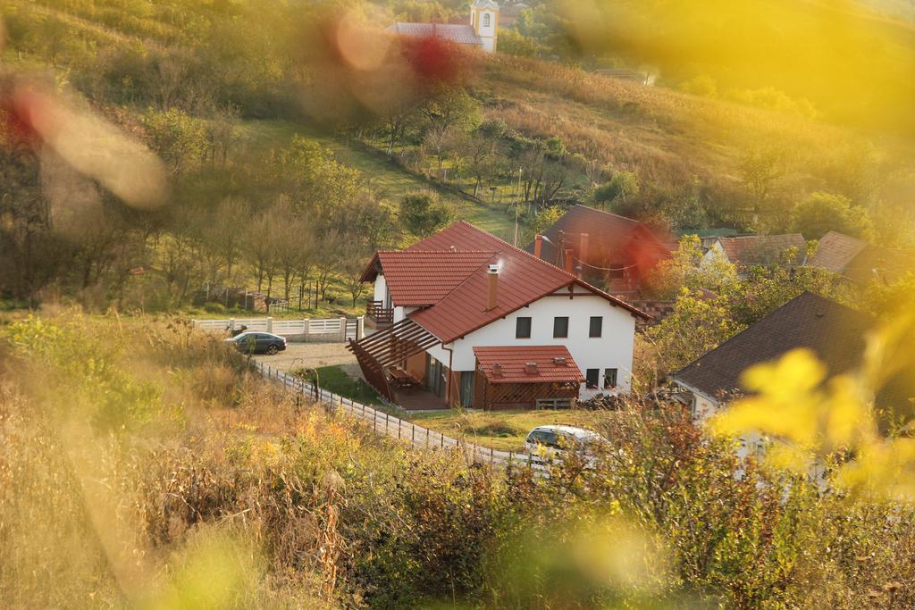 Pensiunea Casa Din VII Seusa Dış mekan fotoğraf